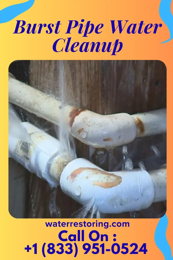 Burst Pipe Water Cleanup in Presidential Lakes Estates, NJ