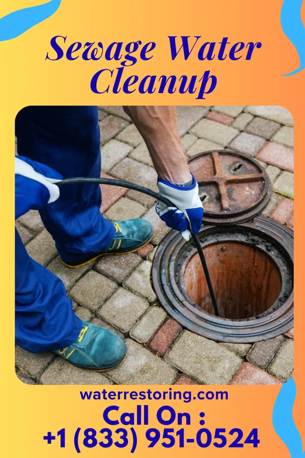 Sewage Water Cleanup in Presidential Lakes Estates, NJ