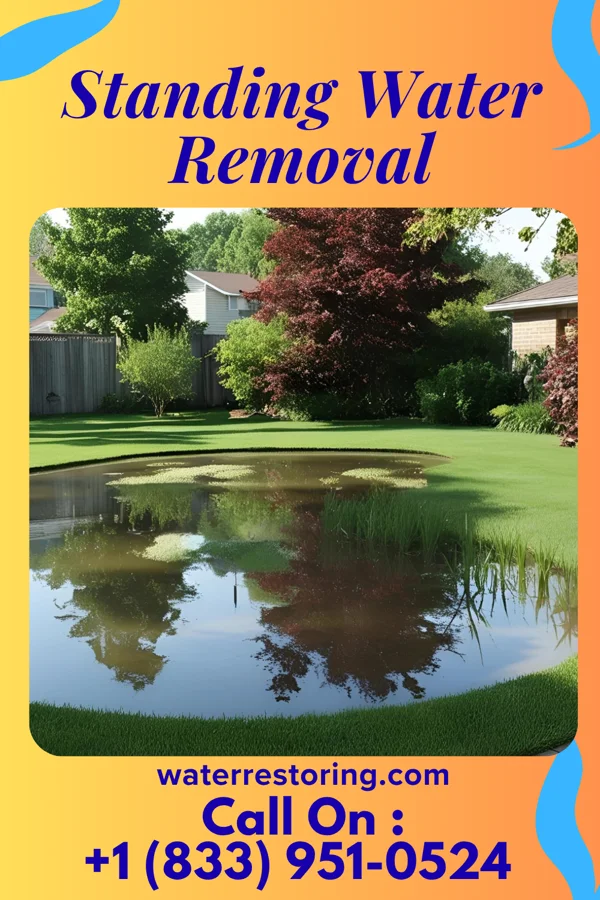 Standing Water Removal in Presidential Lakes Estates, NJ